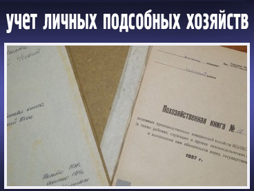 Сотрудниками префектуры Железнодорожного района организован обход личных подсобных хозяйств