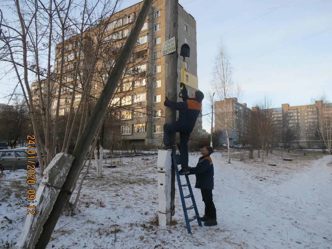 Сотрудниками МКУ "Управление по делам территории города  Рязани" проведен рейд по выявлению и удалению рекламных табличек, самовольно размещенных на опорах уличного освещения и деревьях