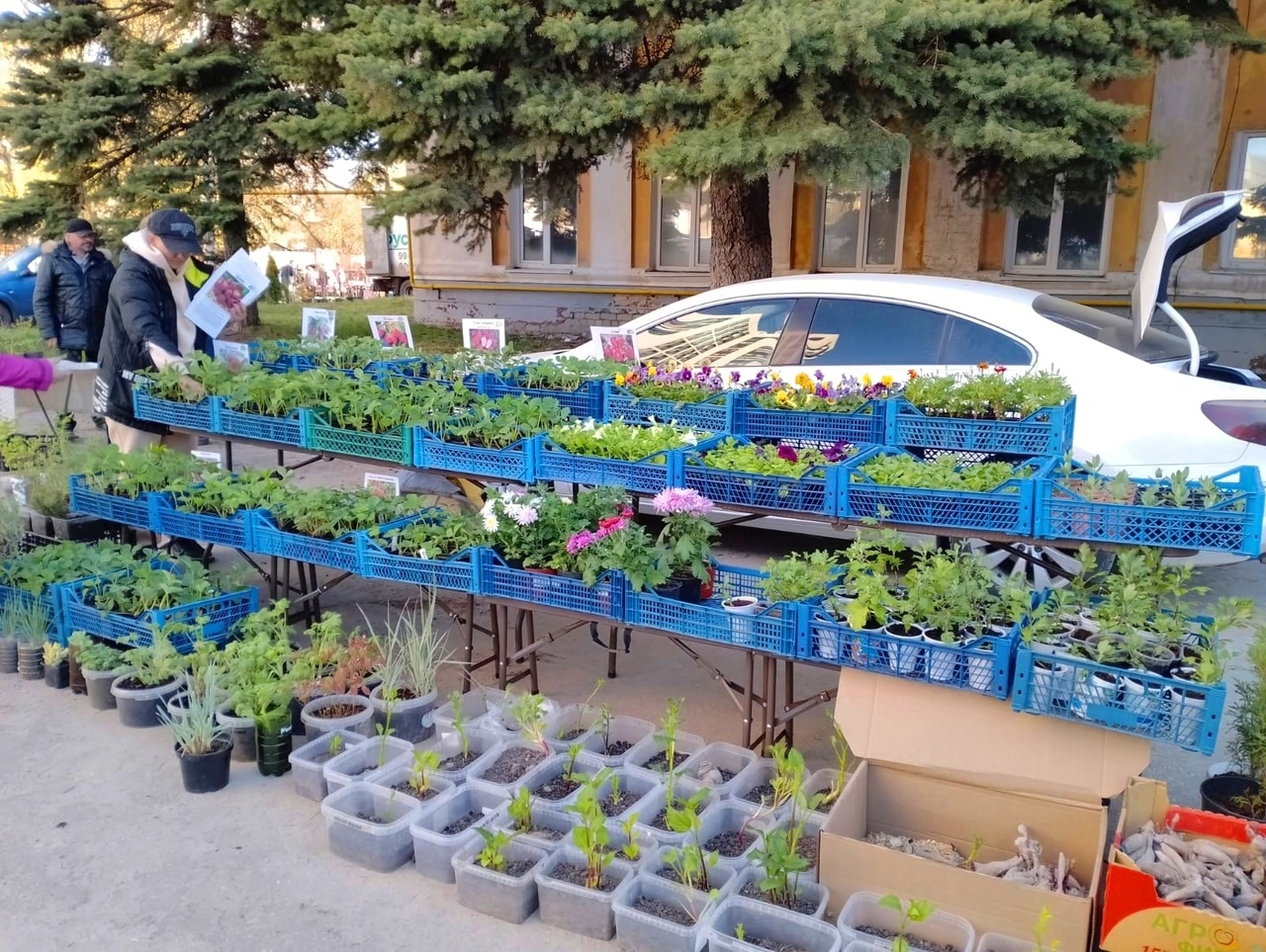 В Рязани продолжает работу ярмарка «Сад-огород»