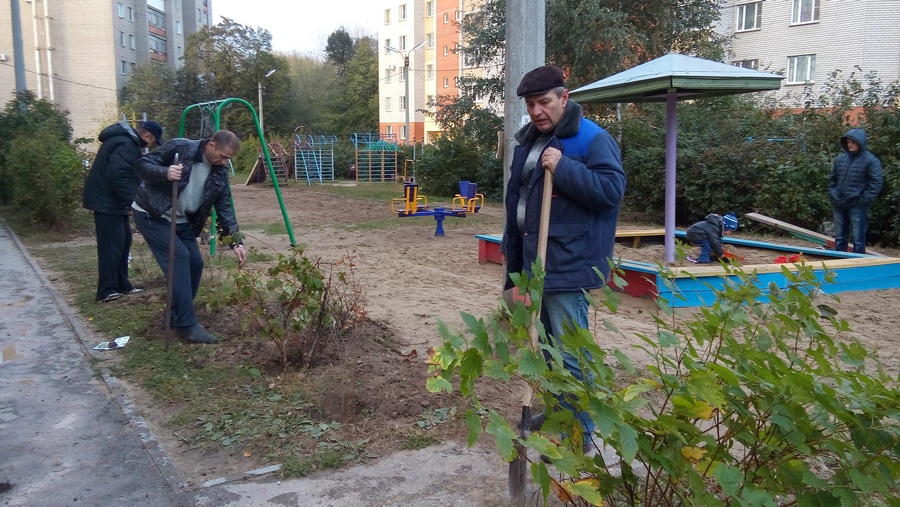 Жители Железнодорожного района посадили кусты и деревья