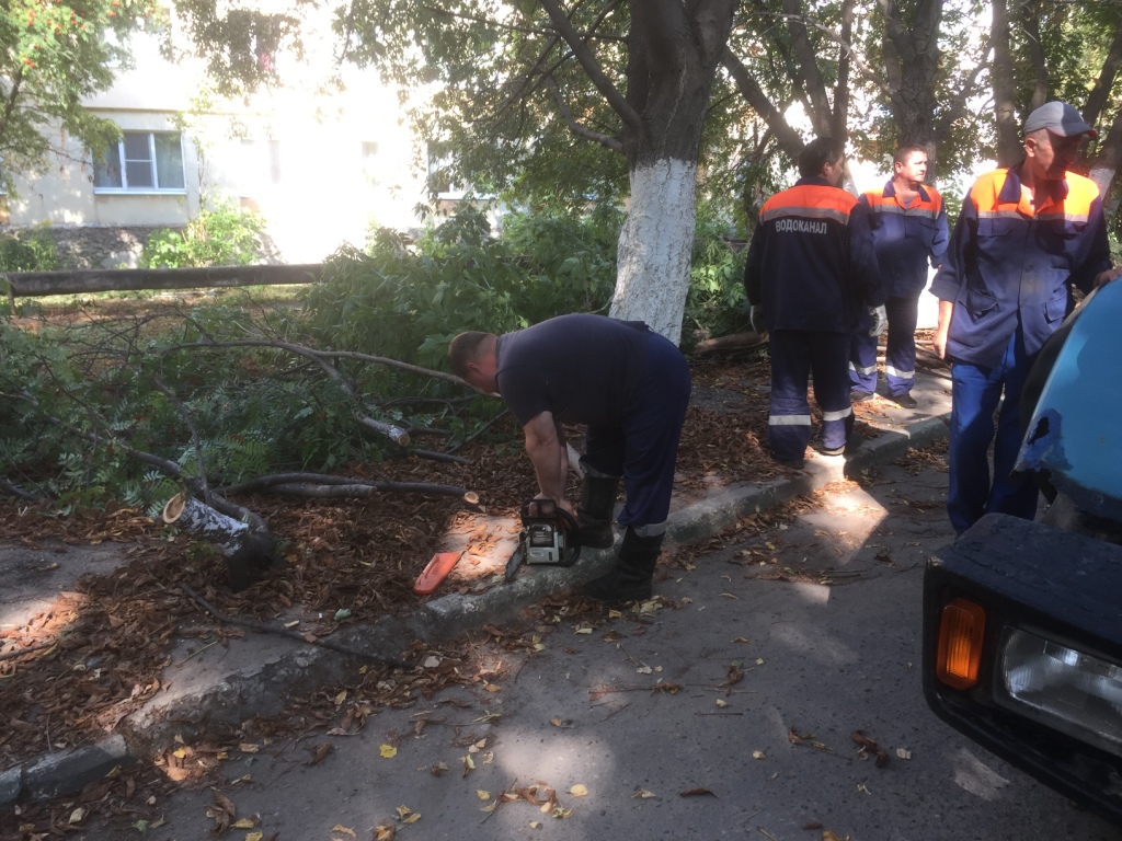 Продолжаются работы по опиловке деревьев