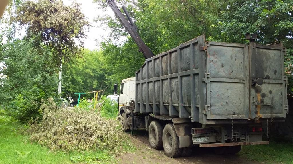 Вывоз древесных отходов