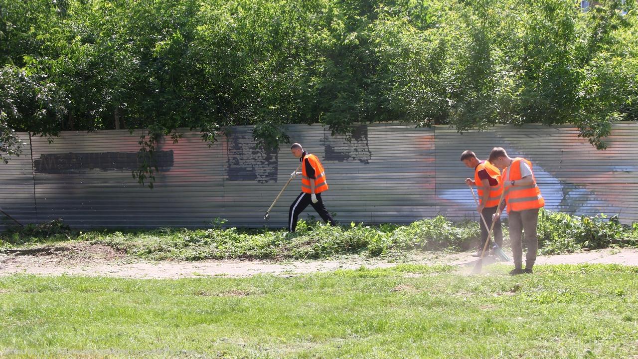 В областном центре продолжается озеленение и уборка городских территорий