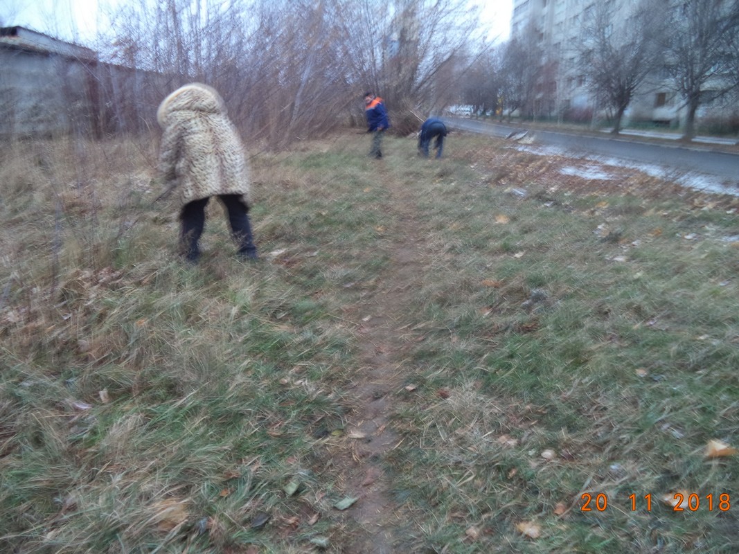 Продолжается благоустройство территорий организациями и предприятиями 20.11.2018