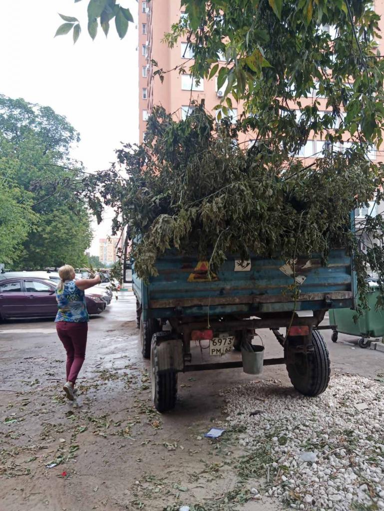 Вывоз древесных отходов