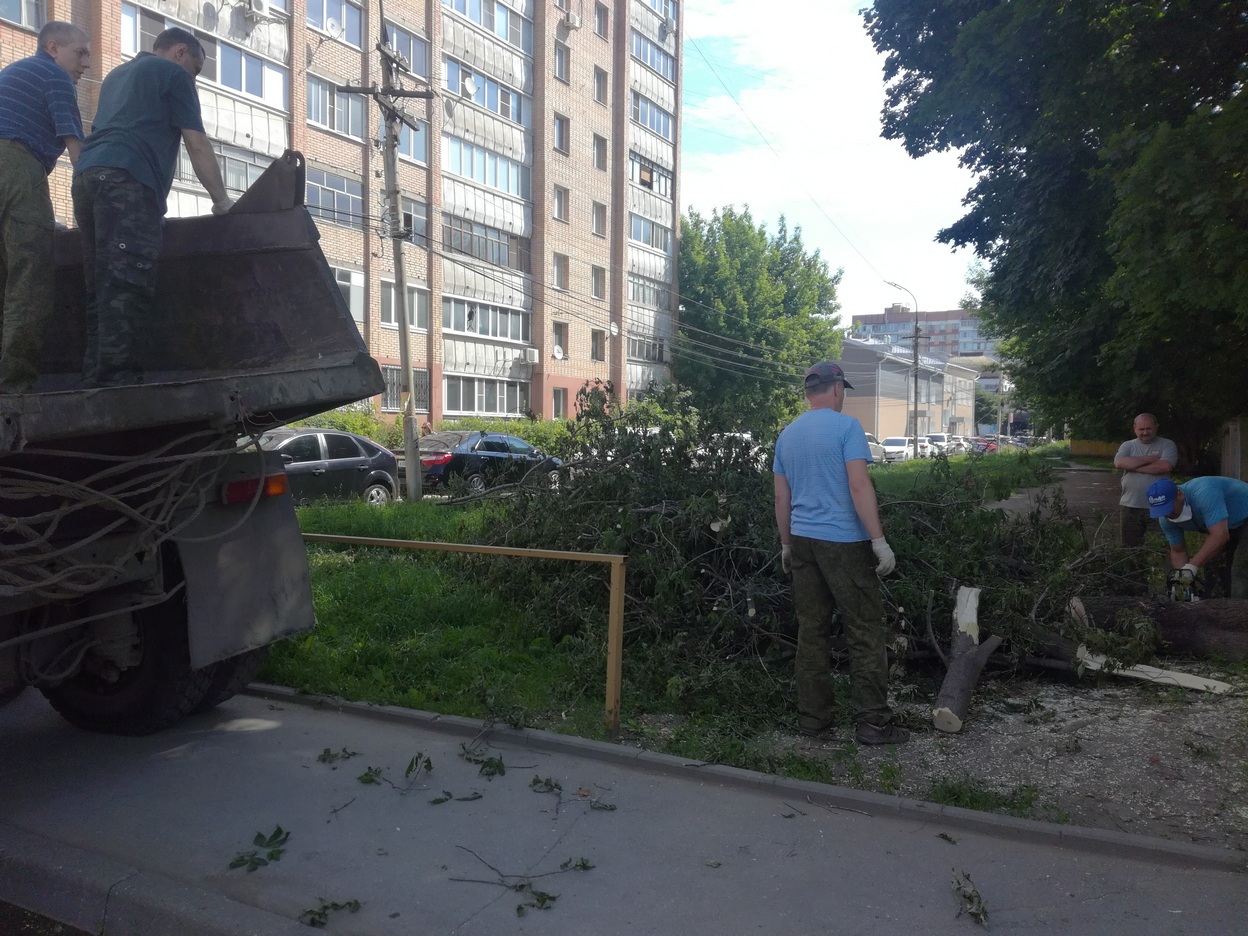 Вывоз древесных отходов