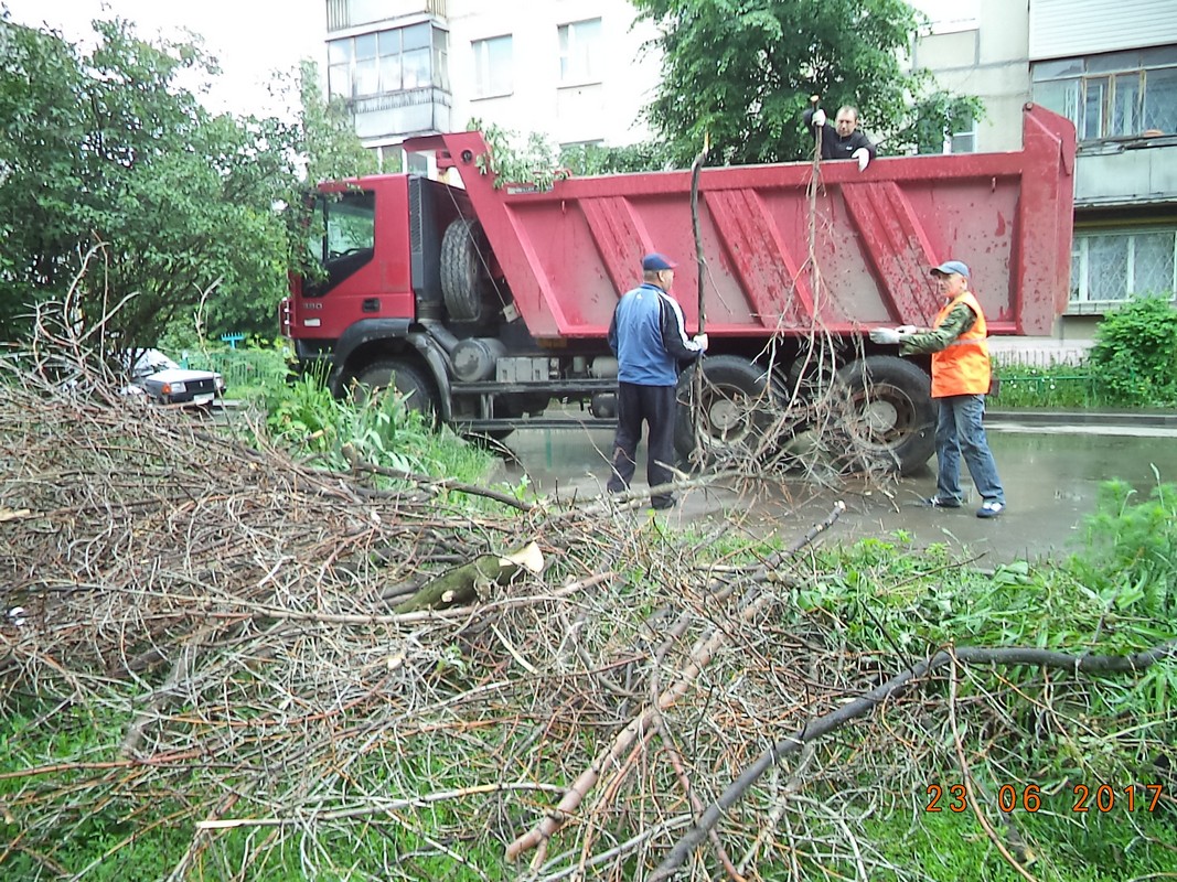 Оранизован вывоз древесных отходов в районе 23.06.2017