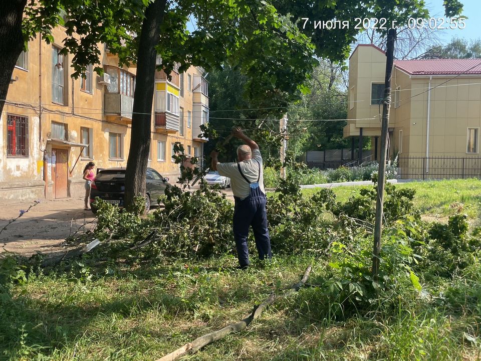 Вывоз древесных отходов