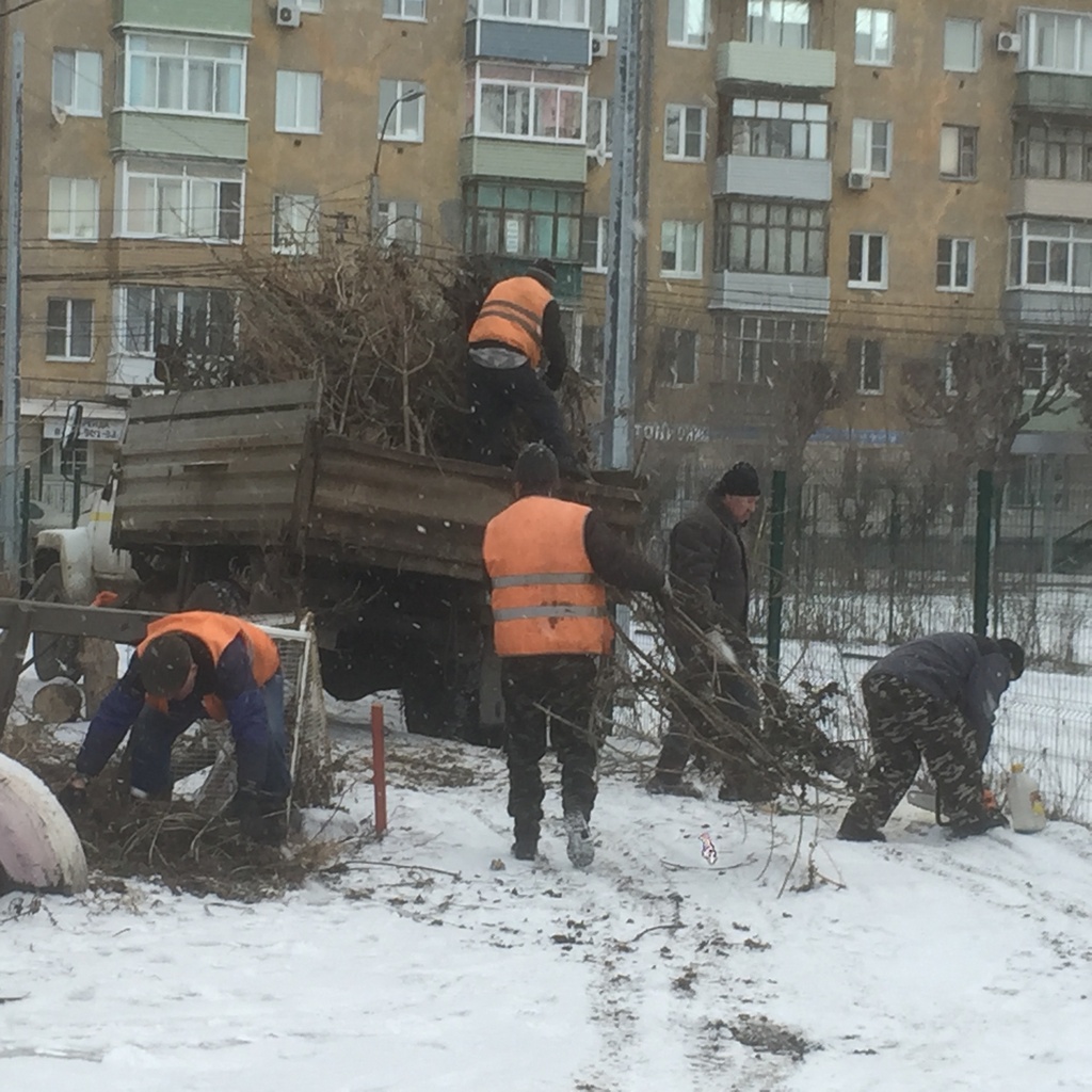 Проведены работы по сносу аварийного дерева и обрезке деревьев по просьбе жителей улицы Краснорядская