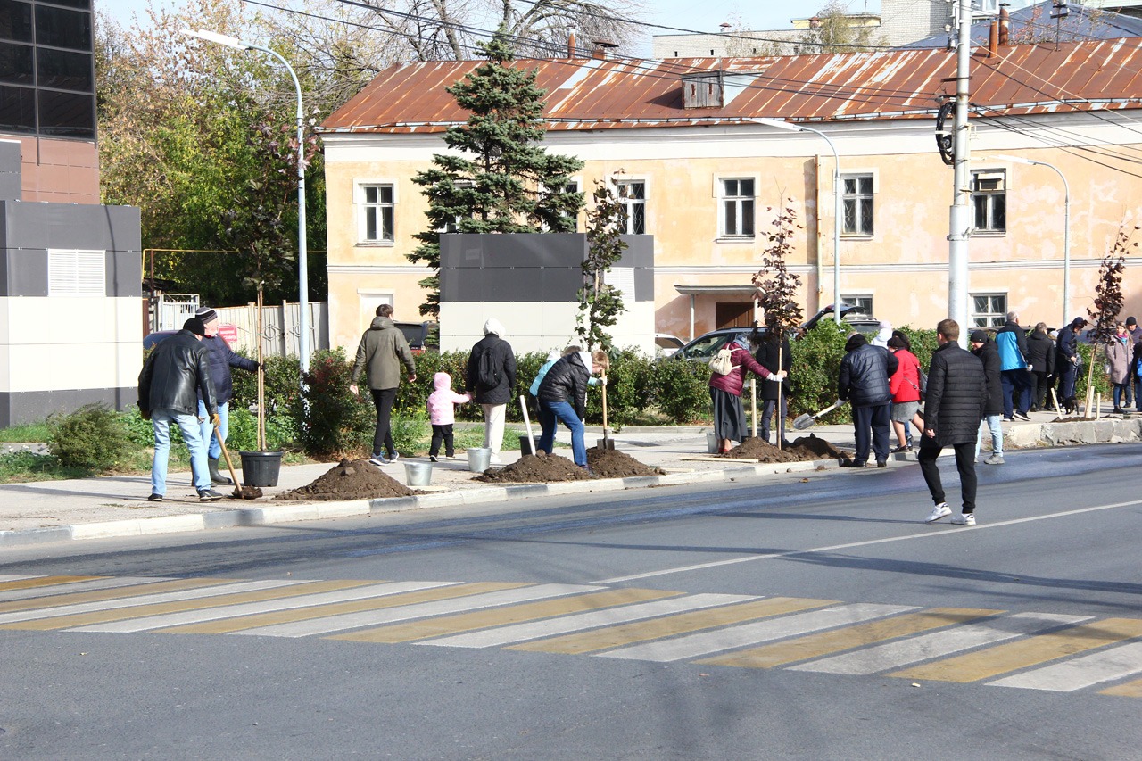 На улицах Свободы и Право-Лыбедской высадили деревья