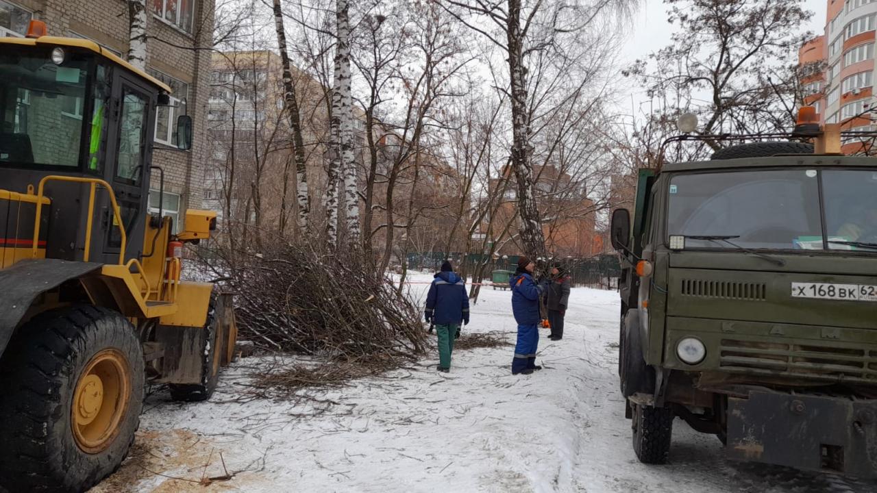 Вывоз древесных отходов