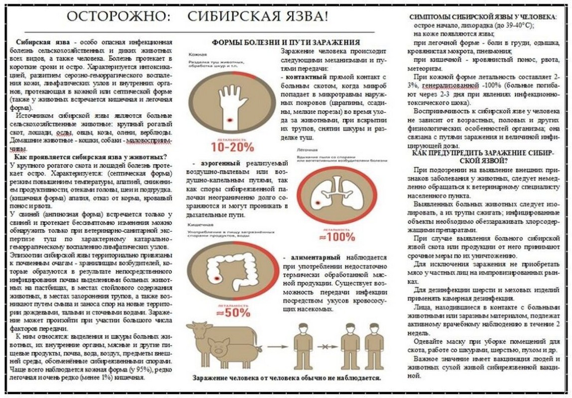 В Рязанской области введен карантин из-за обнаружения сибирской язвы. 17.07.2023