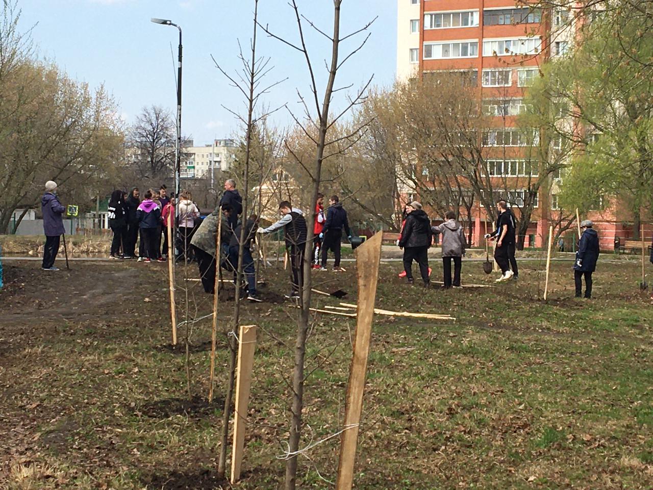 В Новопавловской роще прошел субботник