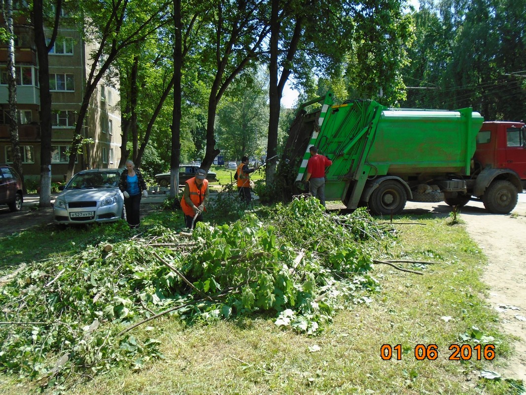 Московской префектурой проведены работы по обрезке и вывозу веток 02.06.2016