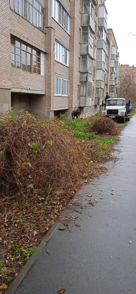 В Cоветском районе продолжаются работы по благоустройству территорий 11.11.2022