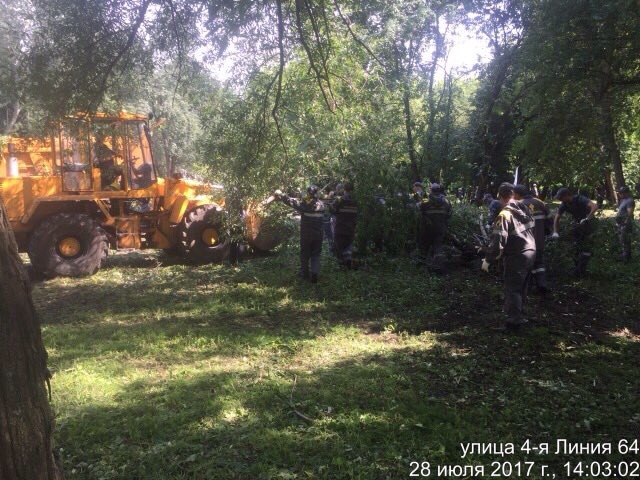 В Новопавловской роще состоялась акция «Чистый город»