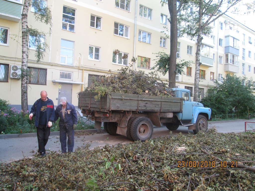 Продолжаются работы по обрезке и сносу аварийных деревьев