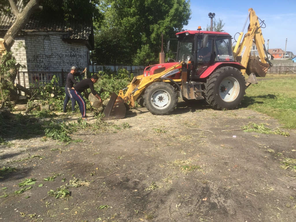 Организованы работы по сносу аварийного дерева 06.08.2020