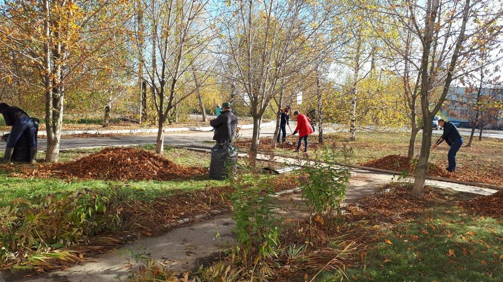 В районе Песочня проводятся работы по благоустройству территорий