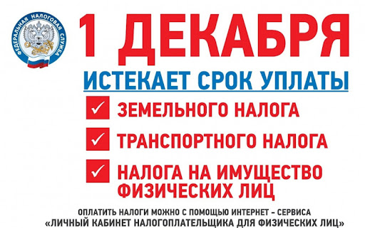 МКУ "УДТ города Рязани" напоминает о необходимости оплаты имущественных налогов за 2021 год