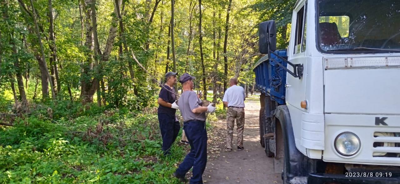 Проводится опиловка и вывоз сухих деревьев в  Лесопарке 09.08.2023