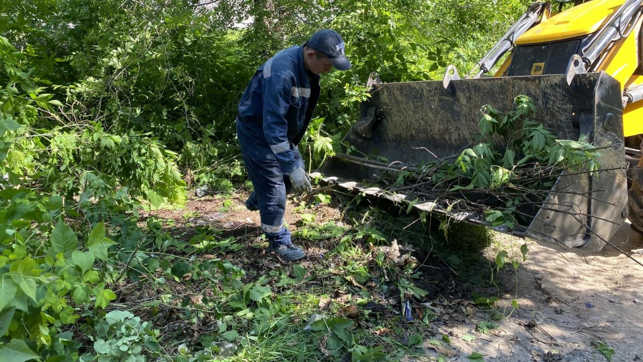 Организованы работы по вывозу свалок с улицы Березовой