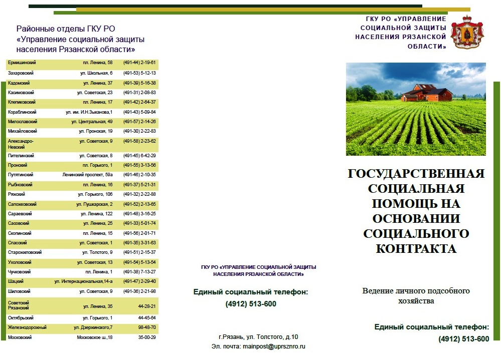 Государственная социальная помощь на основании социального контракта