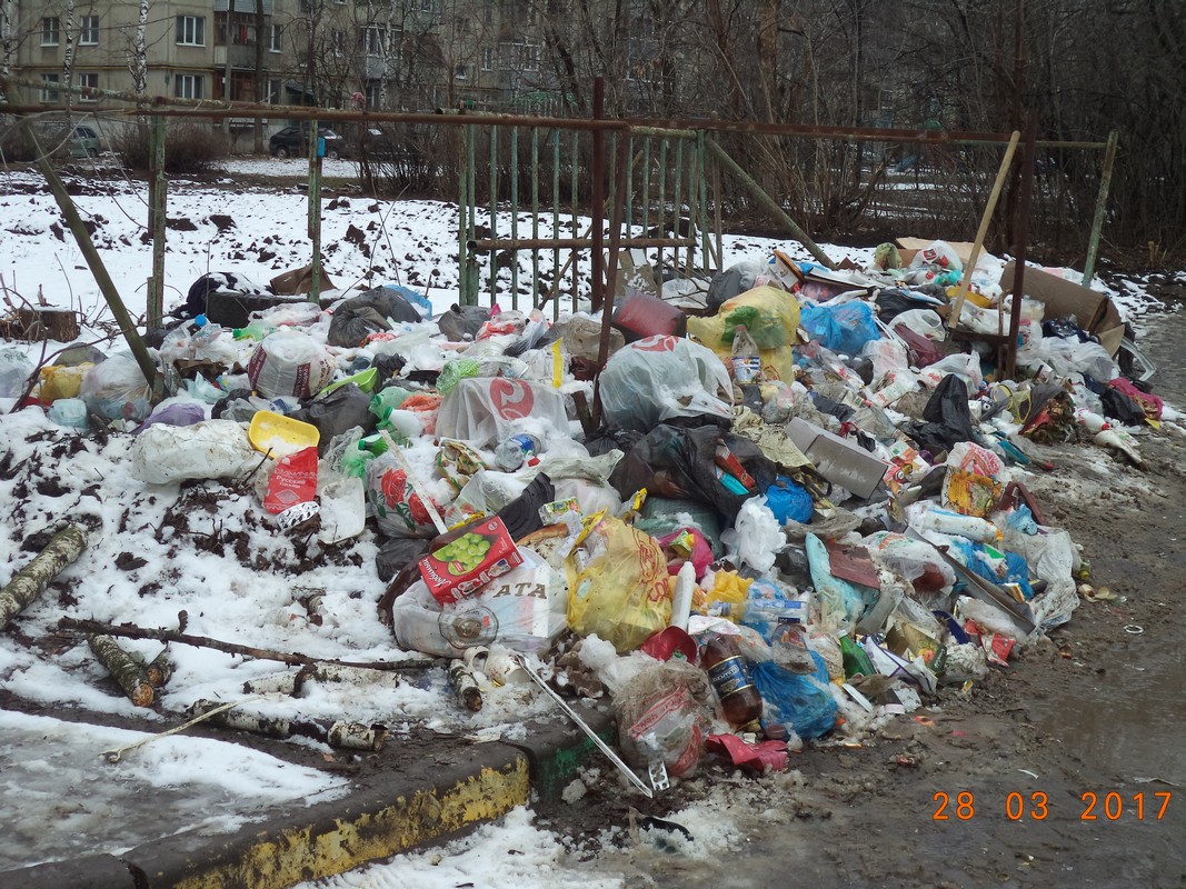 В Московском районе ликвидирована свалка 28.03.2017