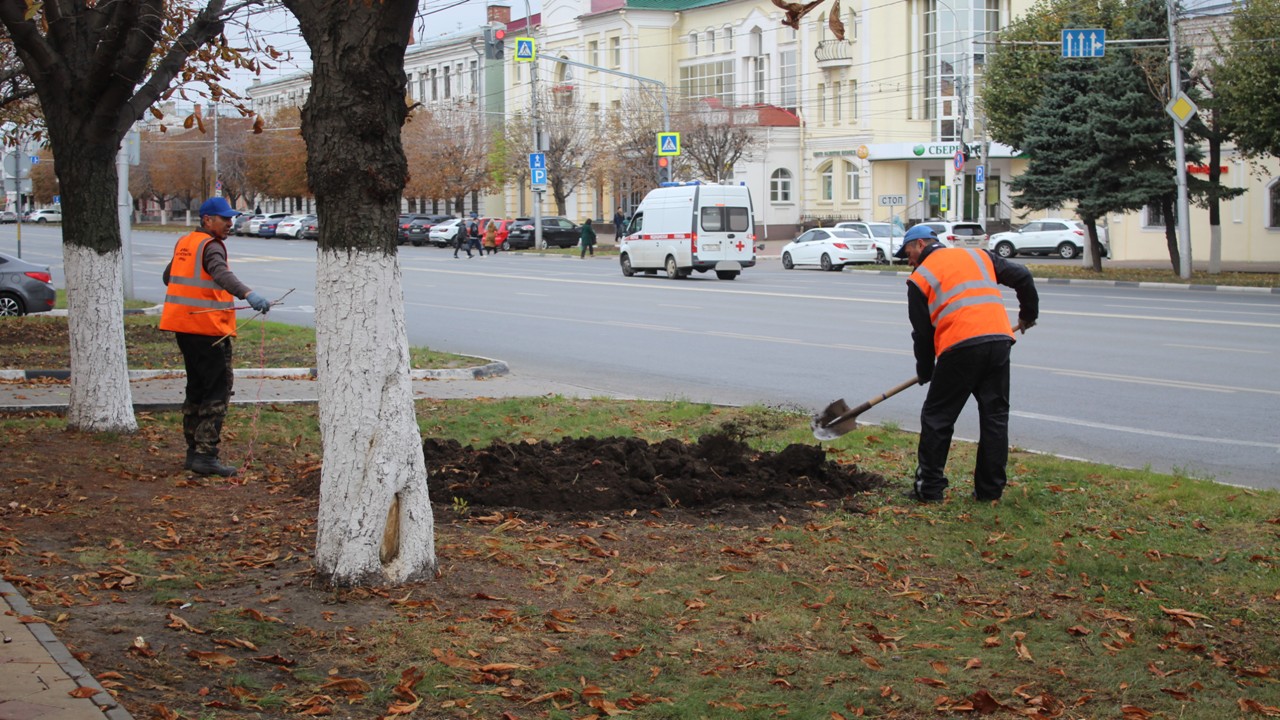 Дирекция благоустройства проводит сезонные работы