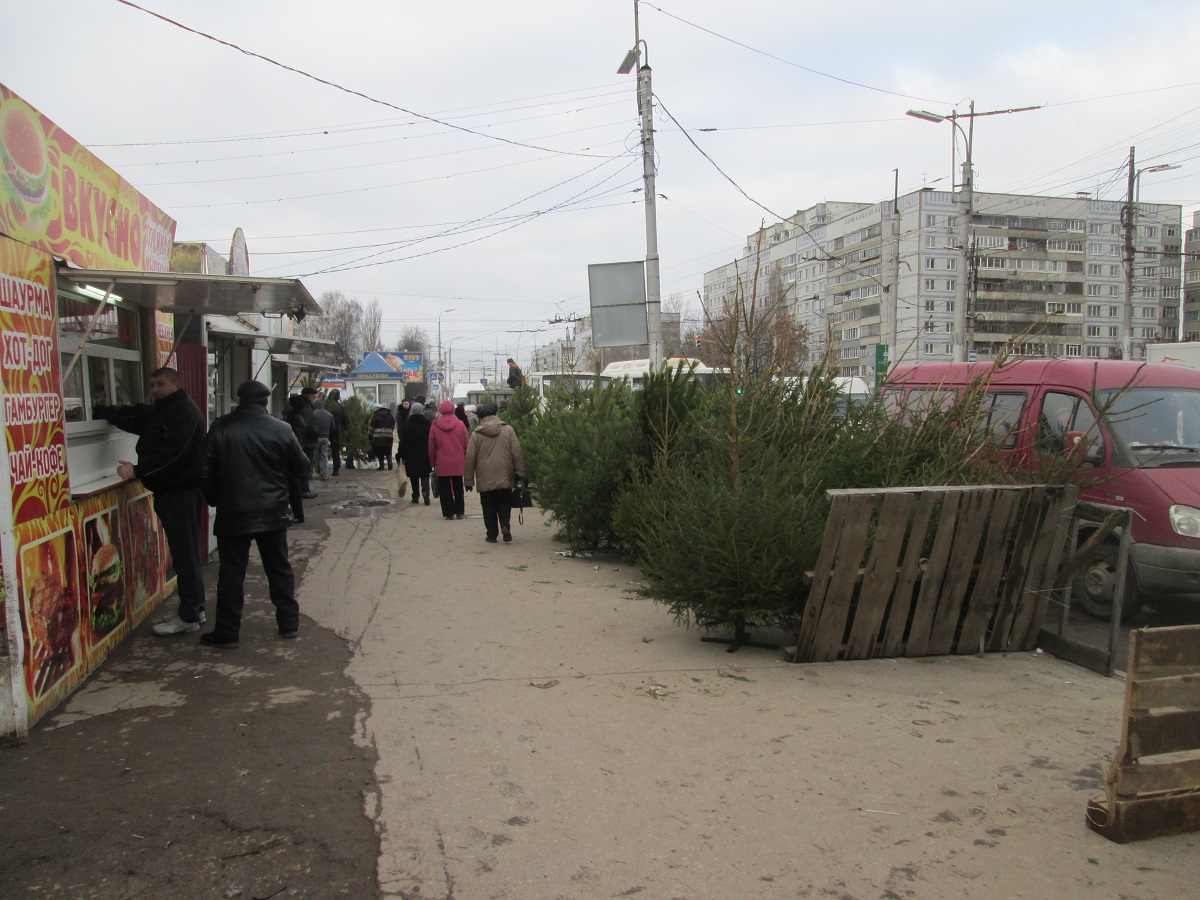 В Октябрьском районе в отношении нарушителя составлен протокол